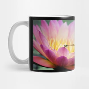 Meditation Wall Art Print - Water Lily and Dragonfly Meditation - canvas, Photo print, artboard print, poster Canvas Print Mug